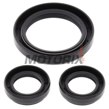 Opravná sada diferenciálu -ALL BALLS- Yamaha YFM 350 2004-2014, YFM 400 2000-2005, YFM 450 2006-2010