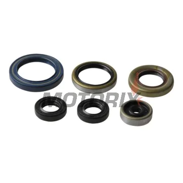 Sada gufer motoru -ATHENA- Husqvarna TC 85 2014-2017, KTM SX 85 2003-2017, SX 105 2004-2011, XC 85 2003-2013, XC 105 2004-2011