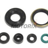 Kompletní sada gufer motoru -ATHENA- Kawasaki KX 250 1993-2004