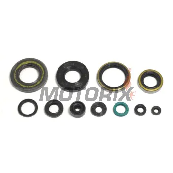 Kompletní sada gufer motoru -ATHENA- Kawasaki KX 250 1993-2004