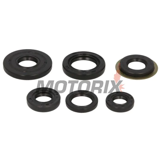 Sada gufer motoru -WINDEROSA- Yamaha TW 200 1987-2024