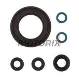 Sada gufer motoru -ATHENA- Yamaha TDM 900 2002-2010