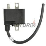 Zapalovací cívka -DZE- Brava AX 100, Guerrero MB Magic 100, Jialing JH 100, Jincheng AX/JC/YG 100, Kawasaki GTO 110/125, Mondial AX 100, Suzuki AX 100/115, FA 50, TS 125/ER (2006-2012)
