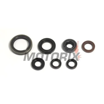 Sada gufer motoru -ATHENA- Gas Gas EC 250/300 2013-2015, Yamaha WR 250 2001-2013, YZ 250 2001-2013