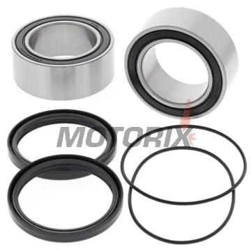 Sada ložisek kola -ALL BALLS- 25-1619, Suzuki LT-R 450 2006-2011