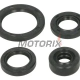 Sada gufer motoru -WINDEROSA- Honda TRX 90 2006-2023