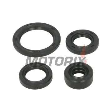 Sada gufer motoru -WINDEROSA- Honda TRX 90 2006-2023