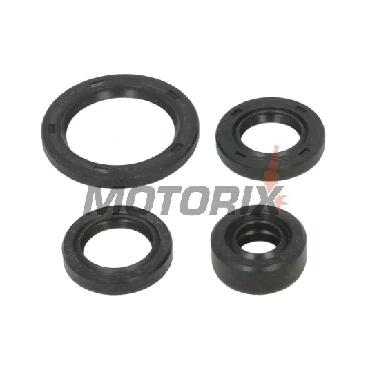 Sada gufer motoru -WINDEROSA- Honda TRX 90 2006-2023