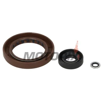 Sada gufer motoru -WINDEROSA- Polaris Sportsman 550 2010-2014