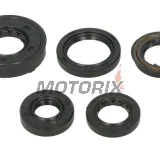 Sada gufer motoru -WINDEROSA- Polaris Predator 90 2005-2006, Polaris Sportsman 90 2005-2006