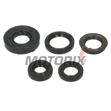 Sada gufer motoru -WINDEROSA- Polaris Predator 90 2005-2006, Polaris Sportsman 90 2005-2006