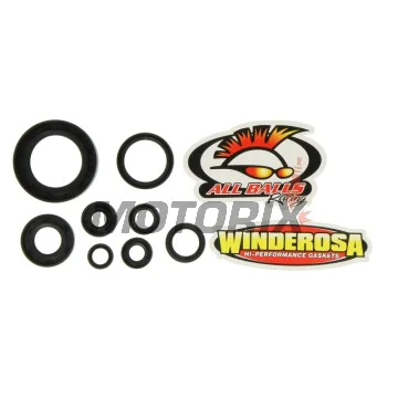 Sada gufer motoru -WINDEROSA- Honda CR 250 1992-2001