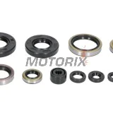 Sada gufer motoru -WINDEROSA- Kawasaki KX 250 1993-2003