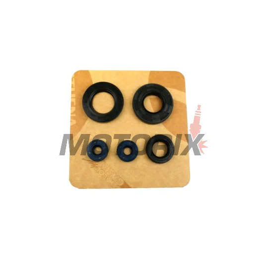 Kompletní sada gufer motoru -ATHENA- Aprilia Leonardo 125/150 1996-2004, Scarabeo 125 1999-2004, Scarabeo 150 1999-2002, Scarabeo 200 1999-2003