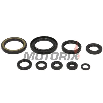 Sada gufer motoru -WINDEROSA- Honda CRF 450 2005-2017