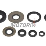 Sada gufer motoru -WINDEROSA- Yamaha YFZ 350 1987-2009