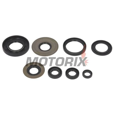 Sada gufer motoru -WINDEROSA- Yamaha YFZ 350 1987-2009