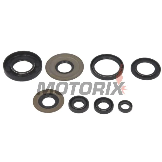 Sada gufer motoru -WINDEROSA- Yamaha YFZ 350 1987-2009