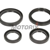 Opravná sada diferenciálu -ALL BALLS- Arctic Cat 250 2004-2005, 366 2008-2011, 400 2004-2008, 2010-2014, 450 2012, 500 2004-2009, 2013-2014, 550 2009-2014, 650 2004-2012, 686 2010, 700 2006-2015, Prowler 1000 2009-2014