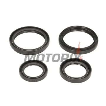 Opravná sada diferenciálu -ALL BALLS- Arctic Cat 250 2004-2005, 366 2008-2011, 400 2004-2008, 2010-2014, 450 2012, 500 2004-2009, 2013-2014, 550 2009-2014, 650 2004-2012, 686 2010, 700 2006-2015, Prowler 1000 2009-2014