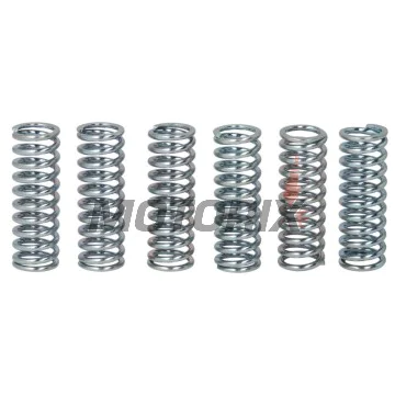 Sada pružin spojky -TRW- MEF151-6, Suzuki GSX-R600 2006-2010, GSX-R750 2006-2016, Suzuki SV650/S 1999-2002