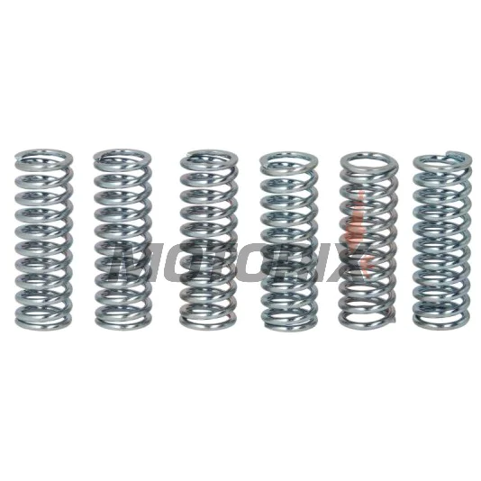 Sada pružin spojky -TRW- MEF151-6, Suzuki GSX-R600 2006-2010, GSX-R750 2006-2016, Suzuki SV650/S 1999-2002