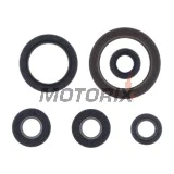 Sada gufer motoru -ATHENA- Husqvarna FE 250/350 2020-2023, KTM EXC-F 250/350 2020-2023
