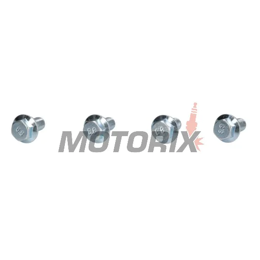 Šrouby pro ráfek sada -4 RIDE- Arctic Cat 90-500 1996-2005, CAN-AM DS/Quest 50/90 2002-2007, Polaris Outlaw/Predator/Scrambler/Sportsman 50-110 2001-2021, Yamaha YFM/YFZ 50/90 2016-2021