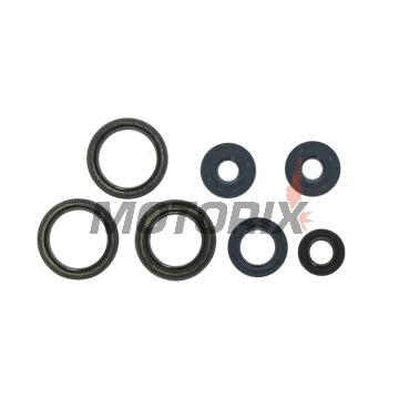 Kompletní sada gufer motoru -ATHENA- Aprilia Classic 125 1996-2001, MX 125 2004-2006, RS 125 1995-2010, RX 125 1995-2001
