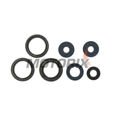 Kompletní sada gufer motoru -ATHENA- Aprilia Classic 125 1996-2001, MX 125 2004-2006, RS 125 1995-2010, RX 125 1995-2001