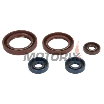 Sada gufer motoru -ATHENA- CAN-AM Outlander. 800 2008-2012, Renegade 800 2009-2011