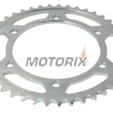 Zadní rozeta -JT- JTR300,43, 43 zubů, ocelový, Honda XL 400 1988-1998, XL 600 1987-2000, XL 650 2000-2007, XL 700 2008-2013, XRV 650 1988-1990, Yamaha FZ8 800 2009-2016, TDM 900 2001-2014, TRX 850 1995-2000