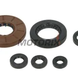 Sada gufer motoru -WINDEROSA- Honda TRX 500 2005-2011