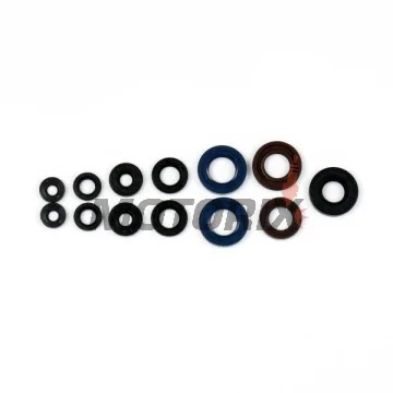 Kompletní sada gufer motoru -ATHENA- Aprilia RS 50 2006-2012, RS4 50 2011-2013, RX 50 2006-2016, SX 50 2006-2016, Cagiva Mito 50 1998-1999, Derbi GPR 50 1997-2001/2004-2012, Senda 50 1998-2000/2003-2011
