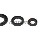 Sada gufer motoru -WINDEROSA- Honda TRX 250 1997-2001