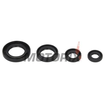 Sada gufer motoru -WINDEROSA- Honda TRX 250 1997-2001