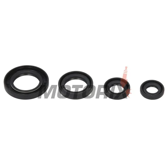 Sada gufer motoru -WINDEROSA- Honda TRX 250 1997-2001