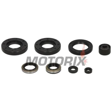 Sada gufer motoru -WINDEROSA- Kawasaki KX 125 1985-1987