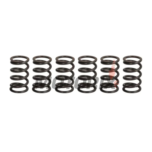 Sada pružin spojky -TRW- MEF369-6, KTM 990 Adventure ABS/S/R (2006-2013), 990 SMR/SMT Supermoto (2008-2013), 990 Superduke/R (2004-2013), 950 Superenduro R (2006-2008), 950 Supermoto R (2007-2008)