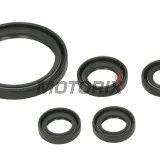 Sada gufer motoru -WINDEROSA- Yamaha YFZ 450 2009-2024