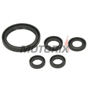 Sada gufer motoru -WINDEROSA- Yamaha YFZ 450 2009-2024