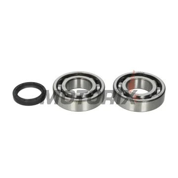 Sada ložisek a gufer klikové hřídele -ALL BALLS- Kawasaki KX 250 2004-2020, Suzuki RM-Z 250 2004-2006