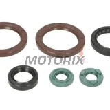 Sada gufer motoru -WINDEROSA- KTM SX 505 2010