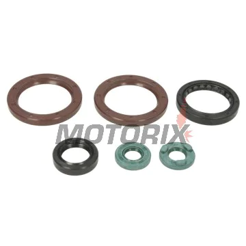 Sada gufer motoru -WINDEROSA- KTM SX 505 2010