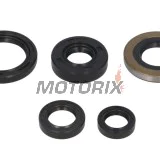Sada gufer motoru -WINDEROSA- Honda TRX 400 1999-2004