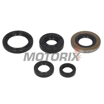 Sada gufer motoru -WINDEROSA- Honda TRX 400 1999-2004