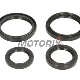 Opravná sada diferenciálu -ALL BALLS- Arctic Cat 250 2004-2005, 366 2008-2011, 400 2004-2008, 2010-2014, 450 2012, 500 2004-2009, 2013-2014, 550 2009-2014, 650 2004-2012, 686 2010, 700 2006-2015, Prowler 1000 2009-2014