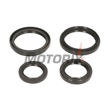 Opravná sada diferenciálu -ALL BALLS- Arctic Cat 250 2004-2005, 366 2008-2011, 400 2004-2008, 2010-2014, 450 2012, 500 2004-2009, 2013-2014, 550 2009-2014, 650 2004-2012, 686 2010, 700 2006-2015, Prowler 1000 2009-2014