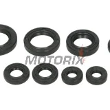 Sada gufer motoru -WINDEROSA- Honda TRX 200 1990-1997
