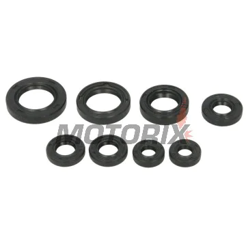Sada gufer motoru -WINDEROSA- Honda TRX 200 1990-1997